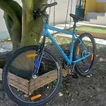 Σπίτι διακοπών Casa Da Laranjeira Pet Friendly Vale Covo (Leiria)