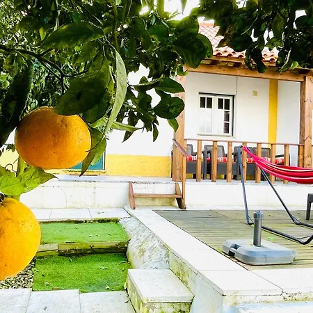 Σπίτι διακοπών Casa Da Laranjeira Pet Friendly